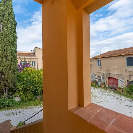 La Gatta E L'olivo *