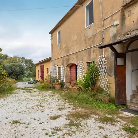 Farm stay La Gatta E L'olivo