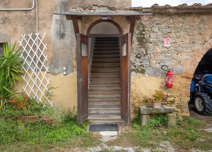 La Gatta E L'olivo *